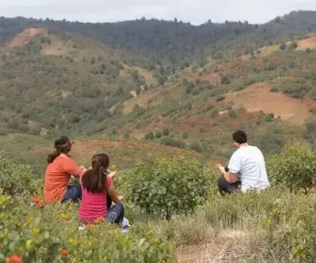 Treinão do Outubro Rosa: saúde e bem-estar na Serra