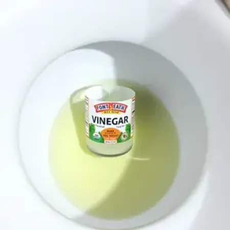 Vinagre ao redor do vaso sanitário: O truque da internet funciona ou é mito?