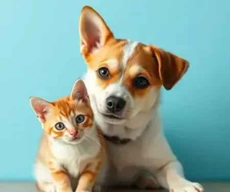 Cariacica terá vacinação gratuita para cães e gatos em 34 pontos neste sábado