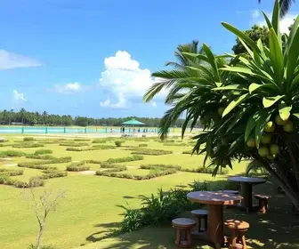 Manguinhos Gourmet tem Casuarina e atrações no fim de semana