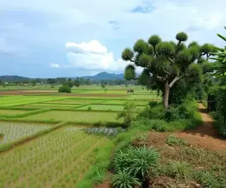 El Niño: palestra orienta sobre impactos no ambiente rural