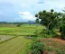 El Niño: palestra orienta sobre impactos no ambiente rural