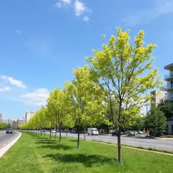 Plano de Arborização Urbana leva 400 novas árvores para Porto Dourado